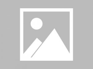 包含罗马球队备战国内联赛接连遭遇伤病困扰的词条